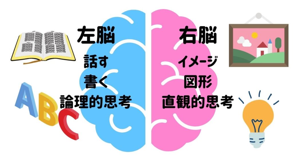 右脳と左脳の役割